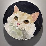 小豆芽超开心的头像