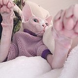 用户头像