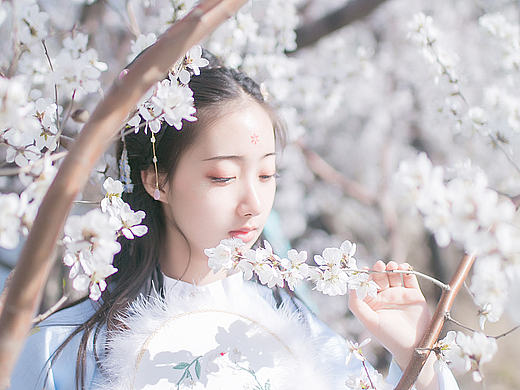 花雨