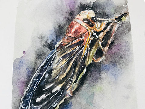 没啥爱好，自学画画