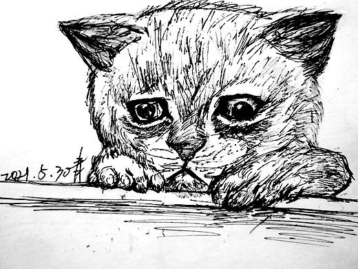 猫咪有点丧