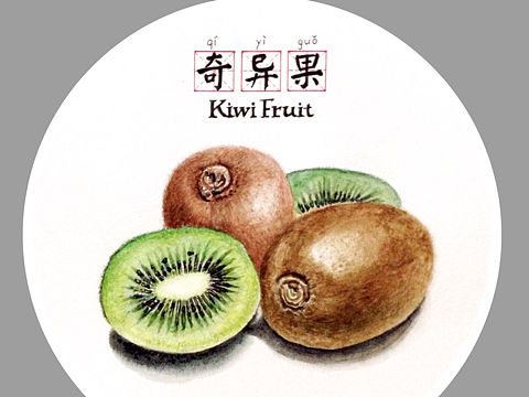 水果系列NO.4奇异果(附作画过程)