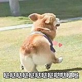 似是故人来丨的头像