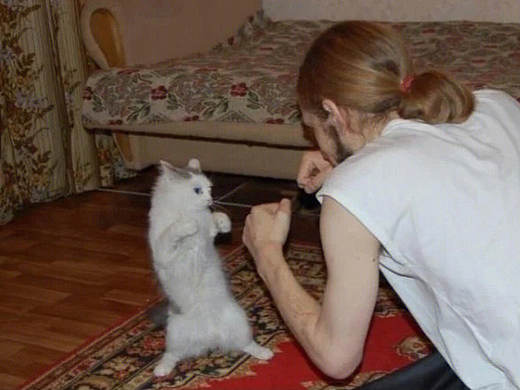 武斗酷猫（个人主页-ZNTkxNzQxMzY=） - 人文/纪实摄影 - 站酷设计师Z297501475原创素材 - 站酷ZCOOL