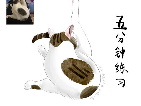 滴滴日常清洁图
