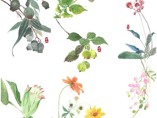 「合集」脱稿水彩花卉
