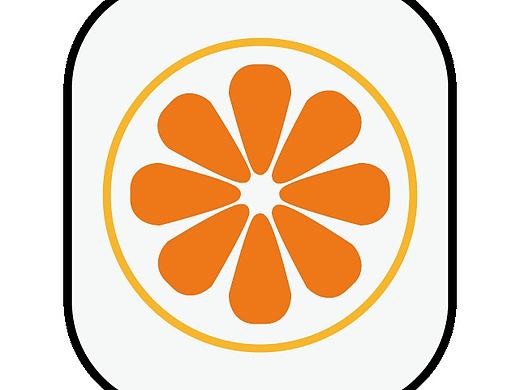 桔子音乐APP（个人主页-ZMTg5ODc3NzI=） - 图标 - 站酷设计师敌敌畏真好喝原创素材 - 站酷ZCOOL