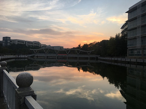 校园余阳