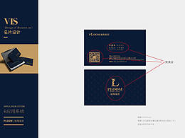 柏隆VI设计