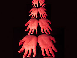 室内摄影结课作品