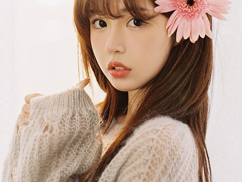 秋天里，不必惊醒玫瑰🌸胶片写真