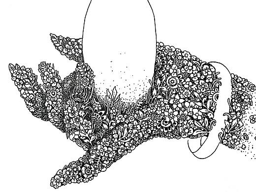 植物类插画