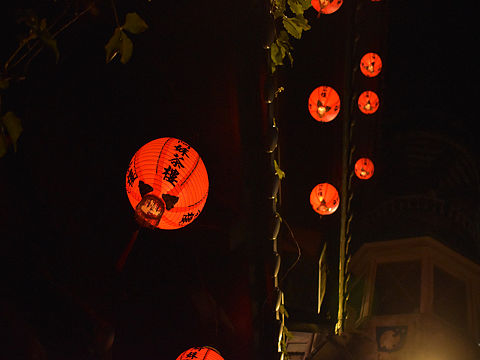 台湾·九份&基隆山上