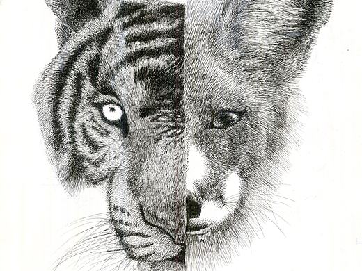 鋼筆畫（個人主頁-ZMjkzMDAwNDg=） - 繪畫 - 站酷設(shè)計師思o(jì)r棄原創(chuàng)素材 - 站酷ZCOOL