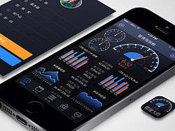 ios7管理大师app