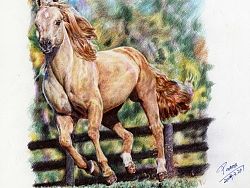 Patro（趙奇?zhèn)ィ﹫A珠筆畫（個人主頁-ZMjgzODkwNA==） - 繪畫 - 站酷設(shè)計師趙奇?zhèn)ピ瓌?chuàng)素材 - 站酷ZCOOL