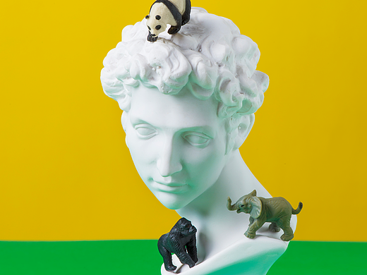 動(dòng)物世界（個(gè)人主頁(yè)-ZNjAzNjQ0MDQ=） - 產(chǎn)品攝影 - 站酷設(shè)計(jì)師bai1ran原創(chuàng)素材 - 站酷ZCOOL