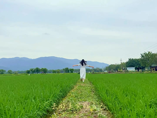 视频类-大广赛 广东省赛区 三等奖（个人主页-ZNjgyNTMxNTY=） - 人像摄影 - 站酷设计师朝暮丶原创素材 - 站酷ZCOOL