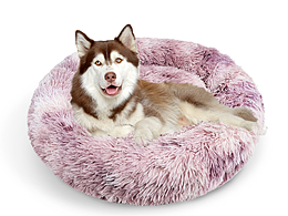 宠物-主图-详情