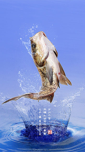 雄鱼（个人主页-ZNDY1MzUzODA=） - 产品摄影 - 站酷设计师拍菜长沙东原创素材 - 站酷ZCOOL