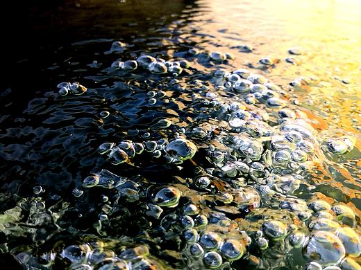 水
