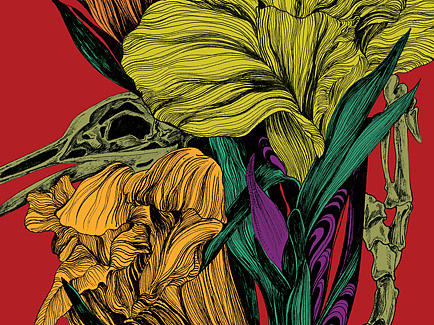 美人蕉 (钢笔彩色插画作品集)