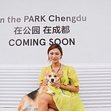 匹哟咪plus的头像