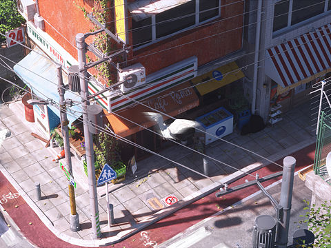 日系场景绘画 三渲二 合集