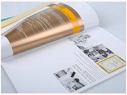 曼普生物画册设计