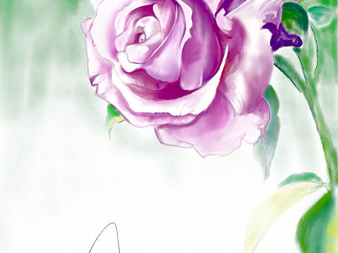 :rose: