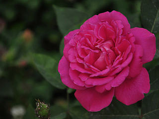 艺术源于生活（个人主页-ZNDExMjE0MA==） - 风光摄影 - 站酷设计师鸽子02024原创素材 - 站酷ZCOOL