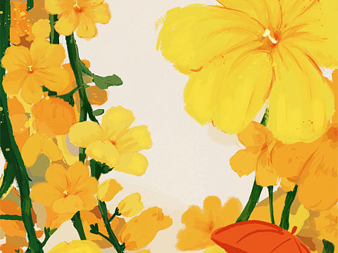 国际妇女节&龙抬头