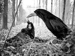 {海德娜娜}森林女巫