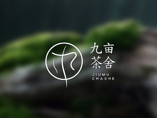 九亩茶舍品牌攻坚案 