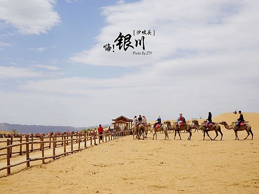 旅行~银川~和好友五年未见。