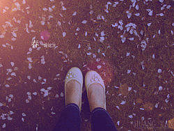 科大樱花季（个人主页-ZMzI1NTQ5Mg==） - 人像摄影 - 站酷设计师huangyan52406原创素材 - 站酷ZCOOL