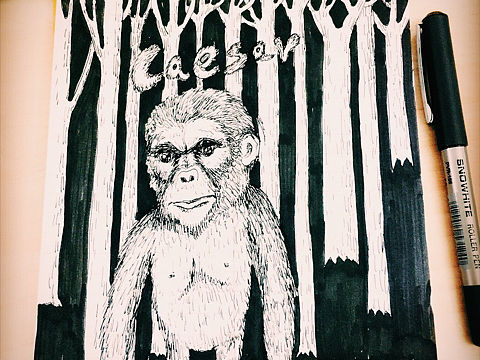 不定期的小更新（个人主页-ZMjM0MzYzNjA=） - 创作习作 - 站酷设计师weiwei0312原创素材 - 站酷ZCOOL