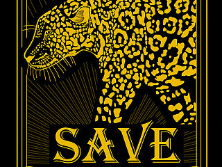《SAVE》扑克牌设计—关于保护濒危动物#四川美术学院#毕业设计