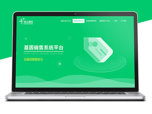 网页设计