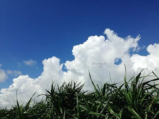 TW印象（個人主頁-ZMTQwNDYxOTY=） - 風(fēng)光攝影 - 站酷設(shè)計師doudou773原創(chuàng)素材 - 站酷ZCOOL