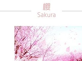 樱-主题