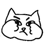 野良猫iris的头像