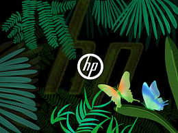 大森林里的秘密