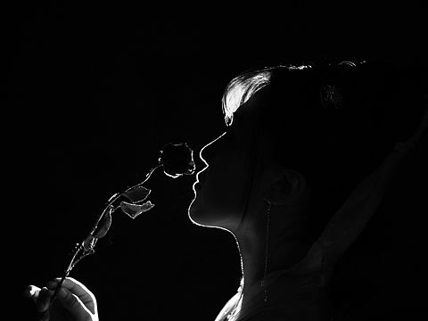 无尽夏 绵绵不绝