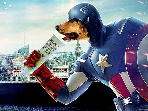 寵誼寵物能量營(yíng)養(yǎng)膏海報(bào)（個(gè)人主頁(yè)-ZMTc5OTY0MDg=） - 海報(bào) - 站酷設(shè)計(jì)師萬(wàn)子Designer原創(chuàng)素材 - 站酷ZCOOL