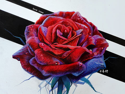 手绘玫瑰