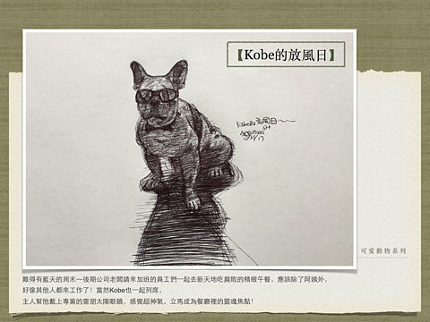【可愛動物系列】