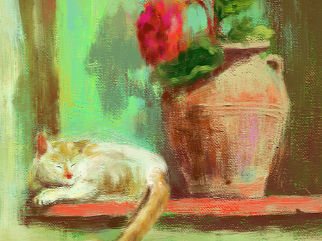 猫