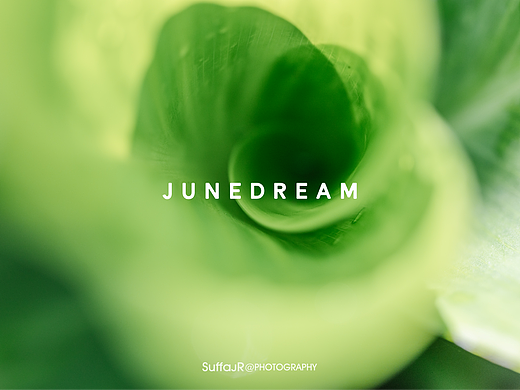 JUNEDREAM
