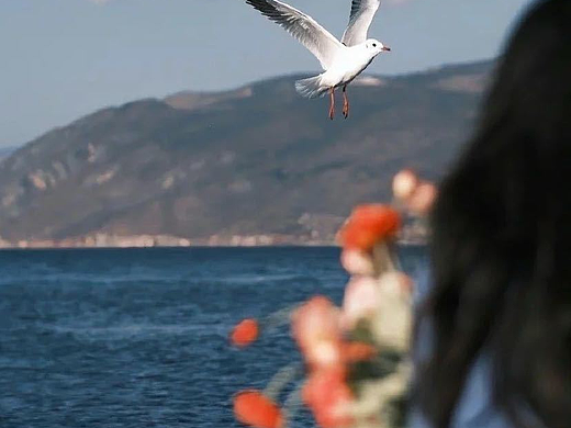 个人拍摄视频包括剪辑